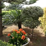 Del Maresciallo