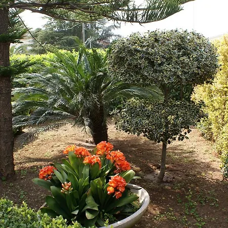 Del Maresciallo
