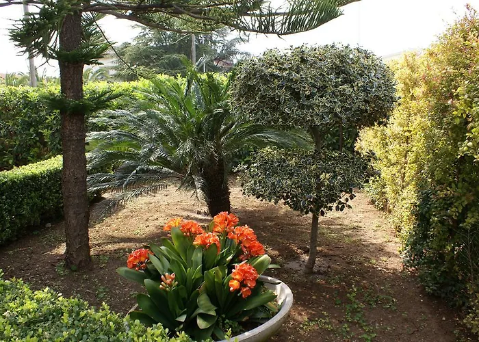 Del Maresciallo